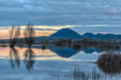 Sutter-Buttes-from-Grey-Lodge-